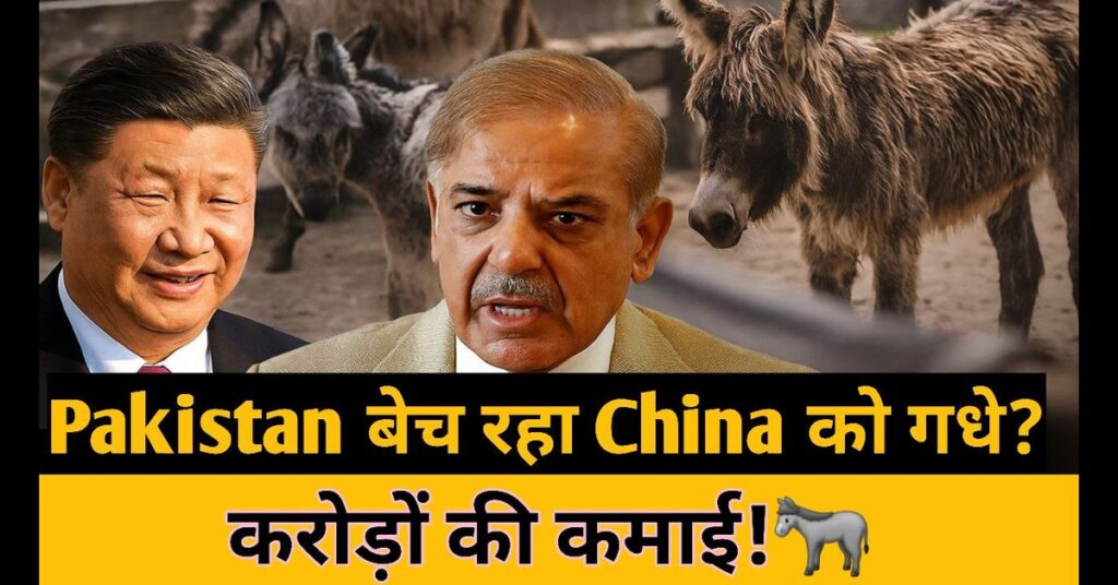 photo 6159089051173505167 y 1