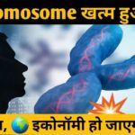 Y Chromosome