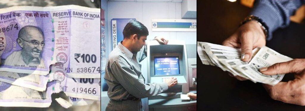 photo 6145633442624900222 y