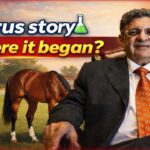 photo 6275976440109010677 y