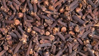 गंगा घाट से घर-घर तक, Patanjali Dant Kanti की पूरी कहानी। 2026 4 Dant Kanti