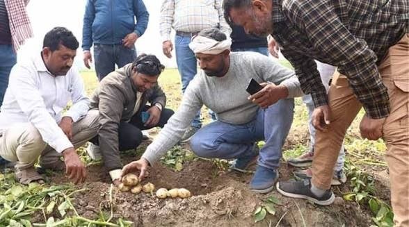 Lay’s के आलू की लड़ाई: किसान, कंपनी और बीज का असली हक। 2026 4 Lay’s