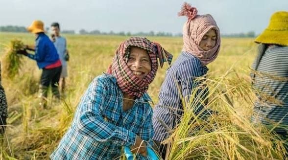 Female Farmer की पहचान: खेत वही, नाम किसी और का? 2026 5 Female Farmer