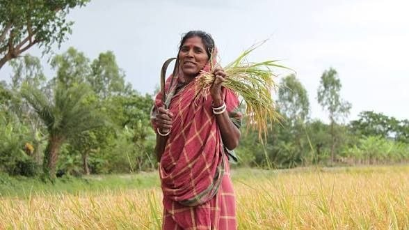 Female Farmer की पहचान: खेत वही, नाम किसी और का? 2026 4 Female Farmer